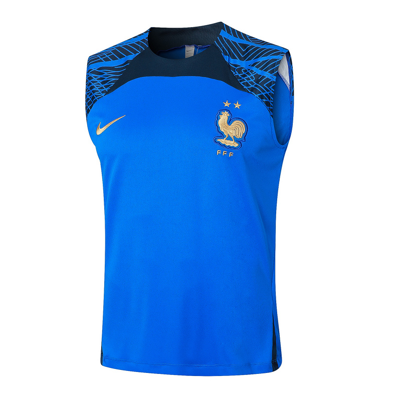 AAA Quality France 24/25 Blue Vest Jersey